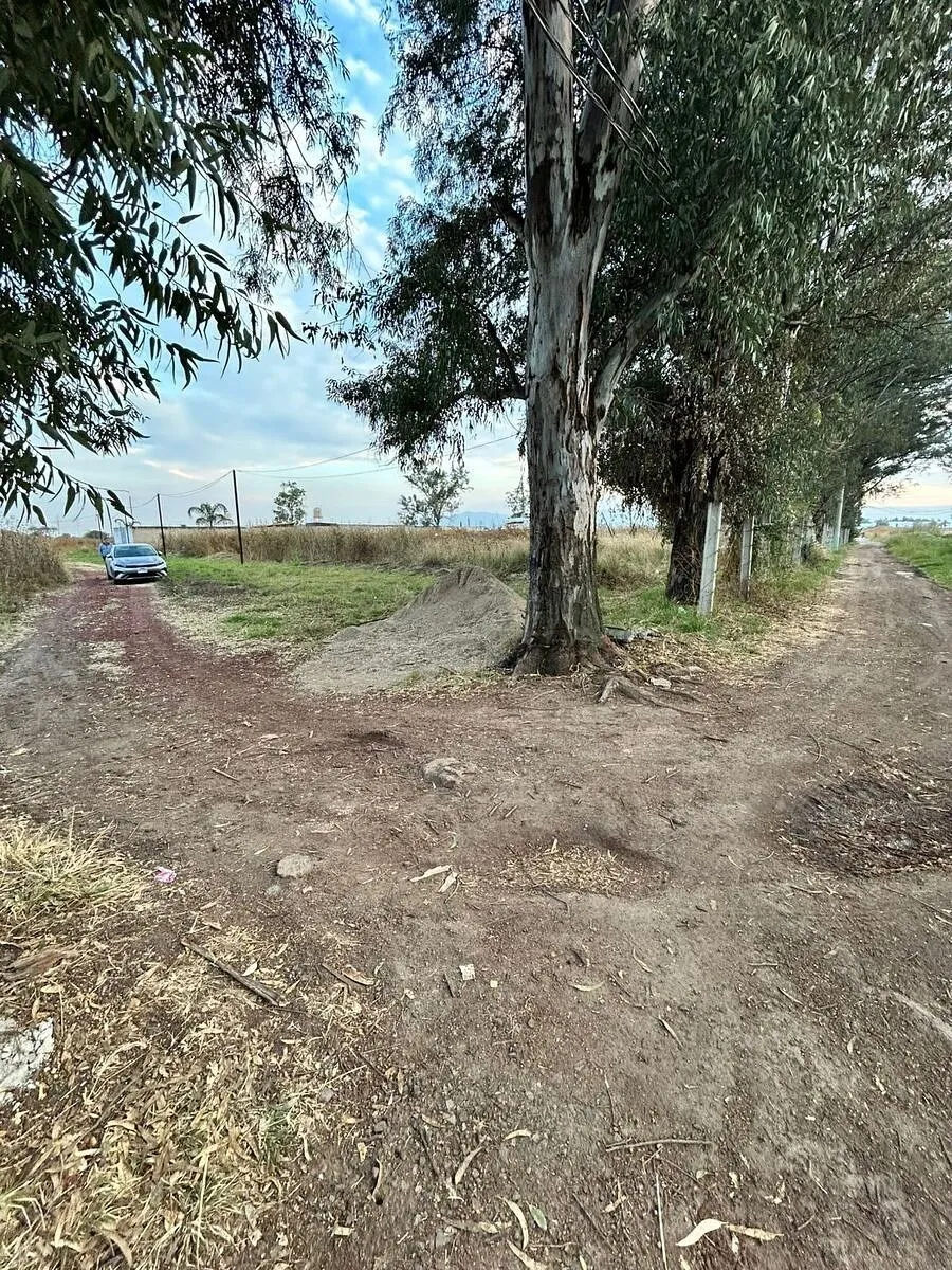 Terrenito Ejidal en Venta – el Zapote